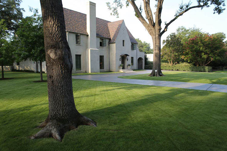 Residential Lawn Treatments