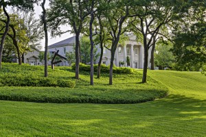 dallas tree service | certified tree care in Dallas, Ft Worth and surrounding areas.