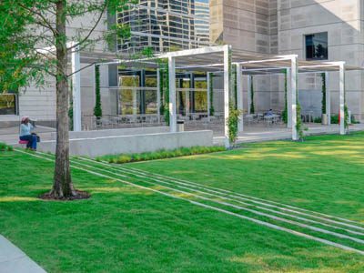 Dallas Museum of Art | Commercial Landscape Project by Southern Botanical