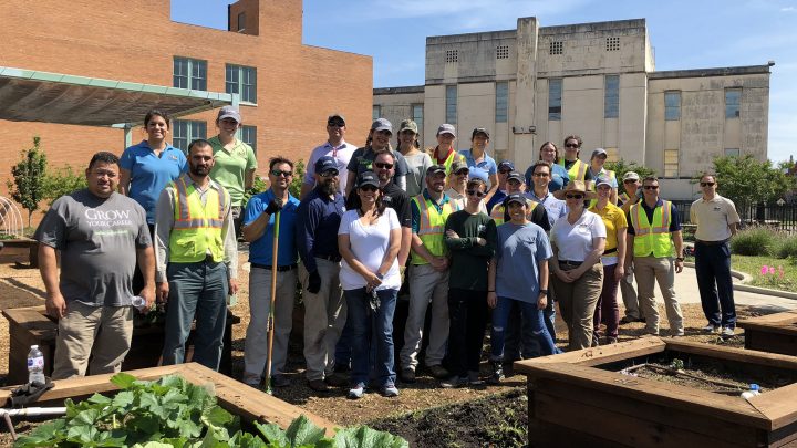 North Park Mall Wins NALP Award of Excellence for Tree Care - Southern  Botanical