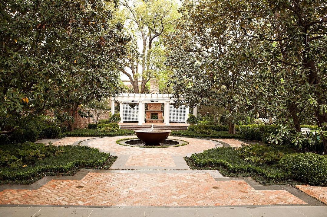 Magnolia Trees | Tree Trimming Dallas, TX