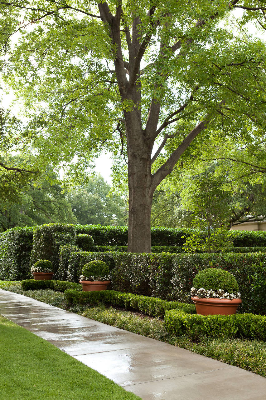 Beverly Drive Property | Dallas Landscaping Services Company