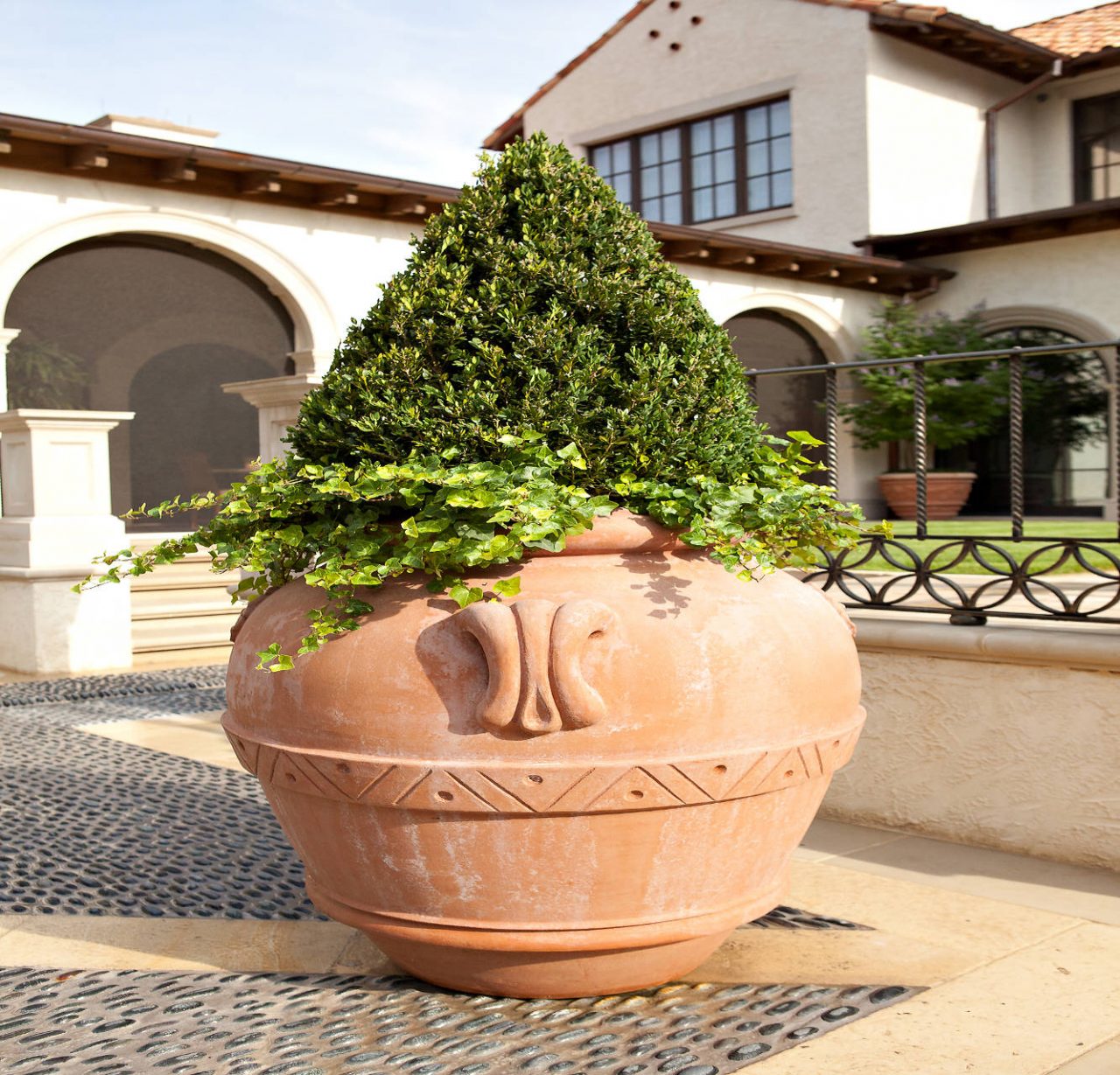 Beverly Drive Property | Dallas Residential Landscaping Services Company