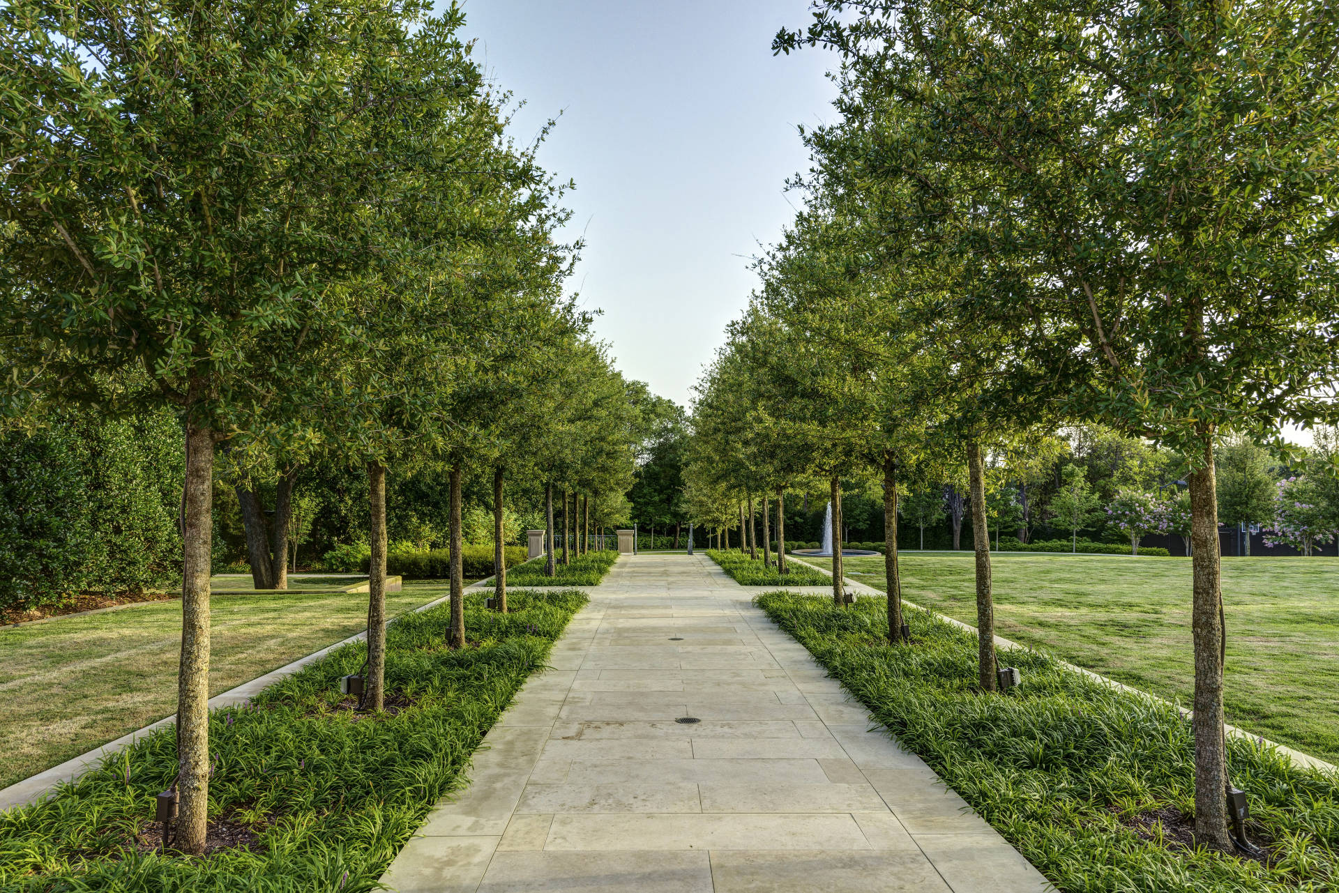 A stone walkway surrounded by a line of well maintained trees in a custom designed landscape at a Preston Hollow Property in Dallas, Texas.