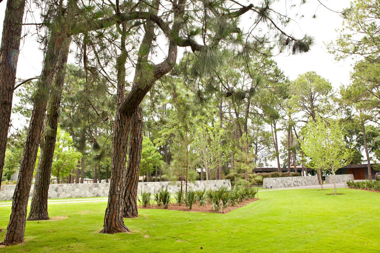 Modern Lakeside Retreat | Residential Landscape Services Company in Dallas, Texas