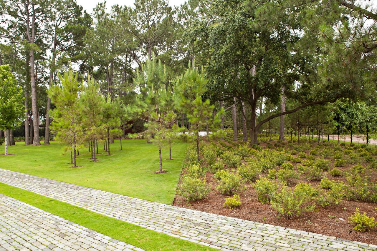 Modern Lakeside Retreat | Residential Landscape Company in Dallas, Texas