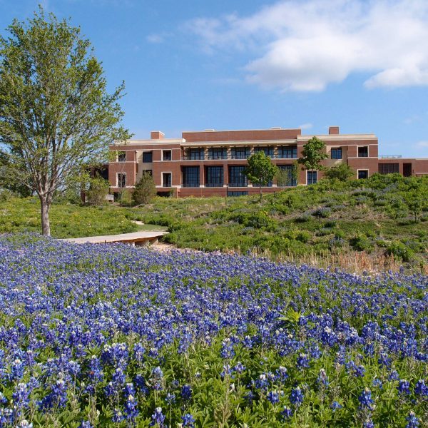 George W. Bush Presidential Center | Landscaping Services in Dallas