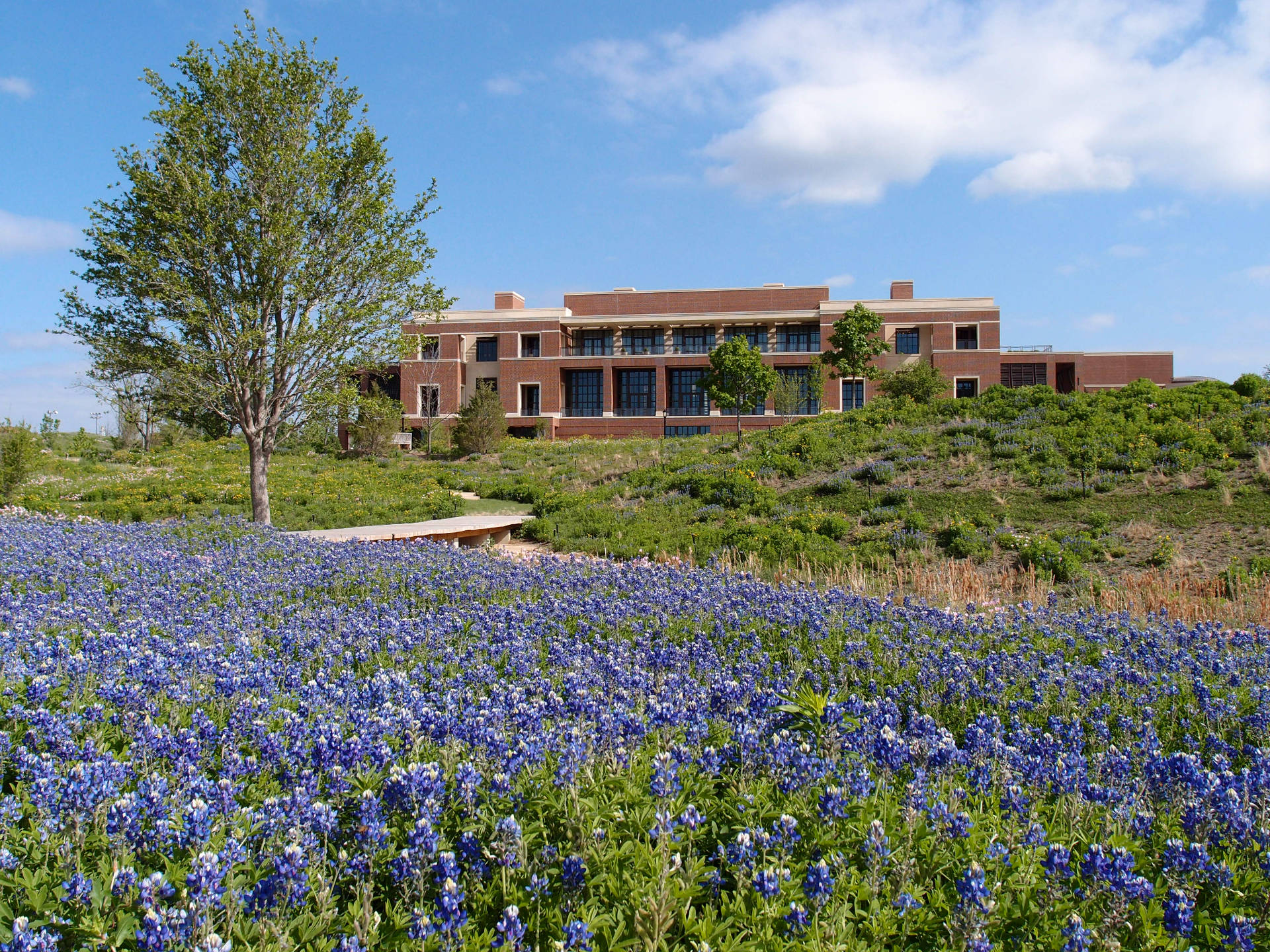 Landscape Design of the George W. Bush Presidential Center in Dallas, Texas