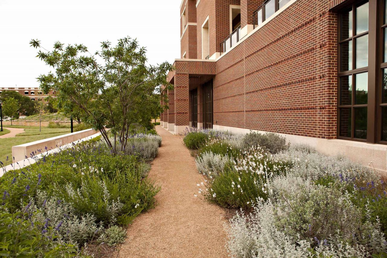 Bush Presidential Center | Commercial Landscaping