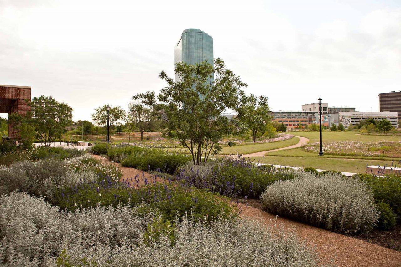 George W Bush Presidential Center | Landscaping by Southern Botanical
