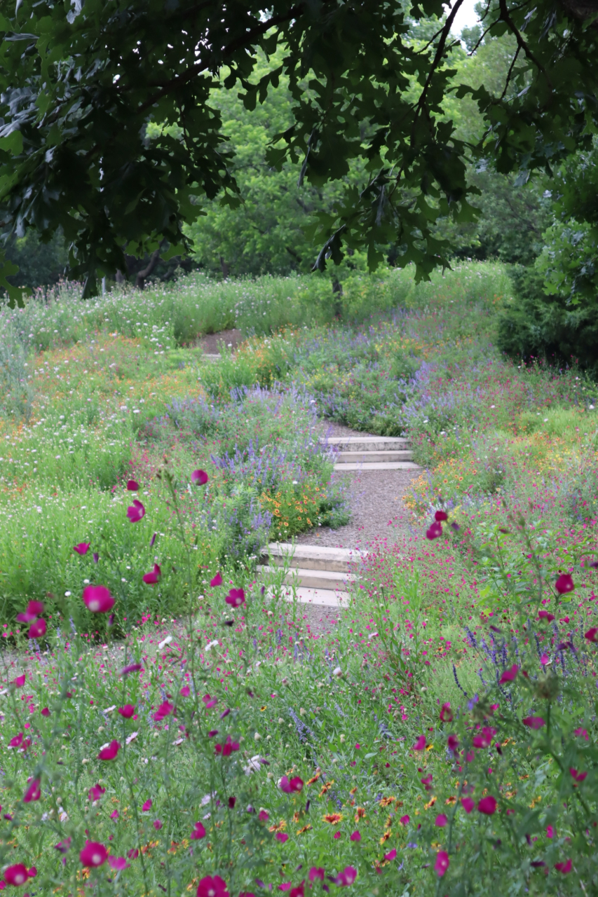 Bush Center Native Wildflower Landscape by Southern Botanical