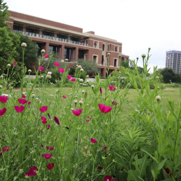 George W Bush Center Native Landscaping by Southern Botanical
