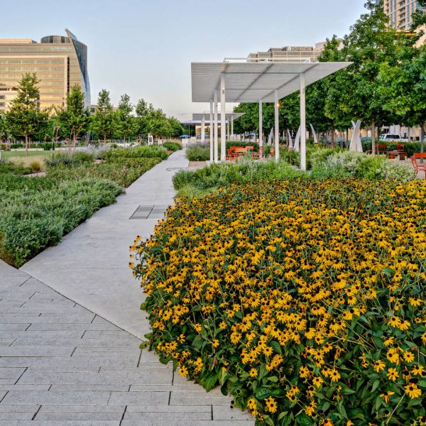 Klyde Warren Park in Dallas, TX | Southern Botanical