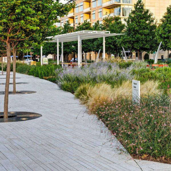Commercial Landscaping Services of Klyde Warren Park by Southern Botanical
