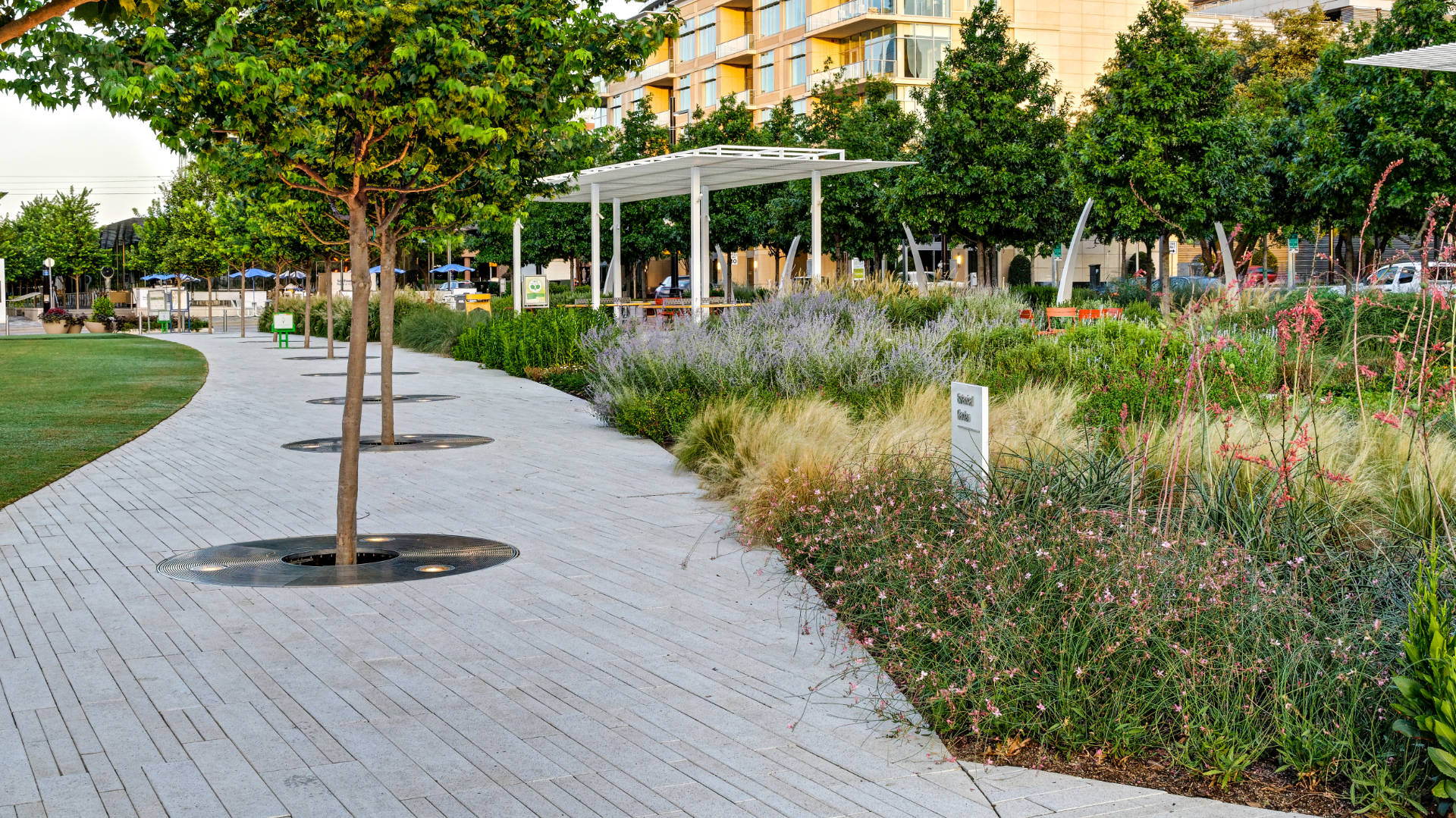 Commercial Landscaping Services of Klyde Warren Park by Southern Botanical