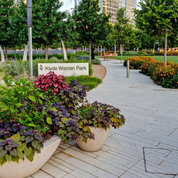 Klyde Warren Park | Landscape and Landscape Maintenance by Southern Botanical