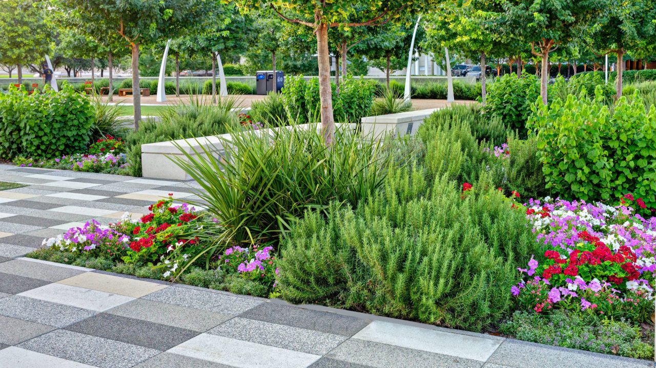 Klyde Warren Park Landscape and Maintenance by Southern Botanical
