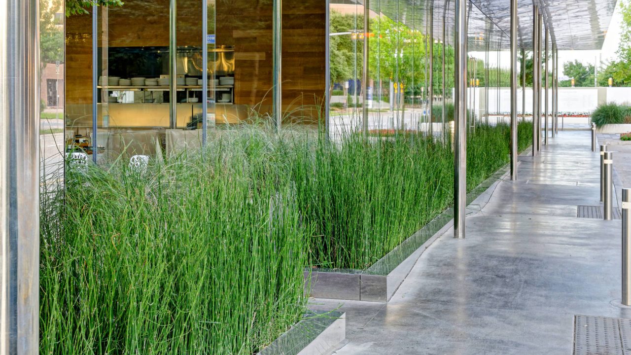 Commercial Landscaping Services of Klyde Warren Park by Southern Botanical