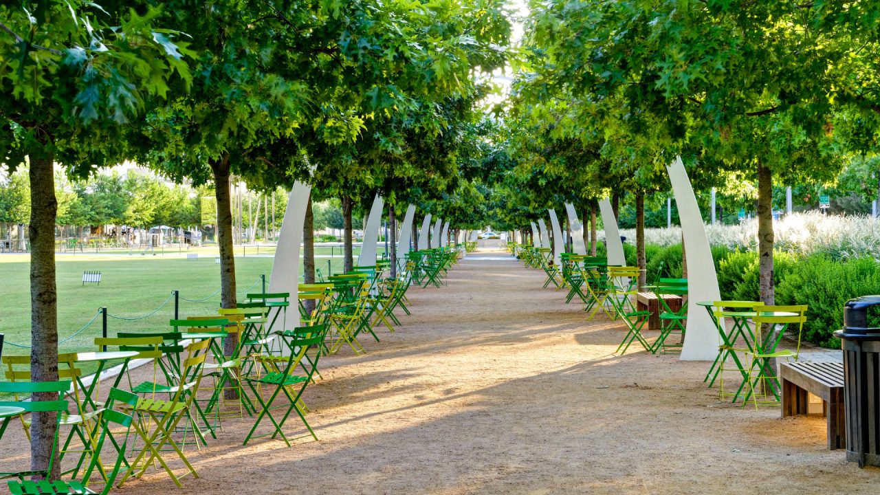 Commercial Landscaping Services in Dallas | Southern Botanical