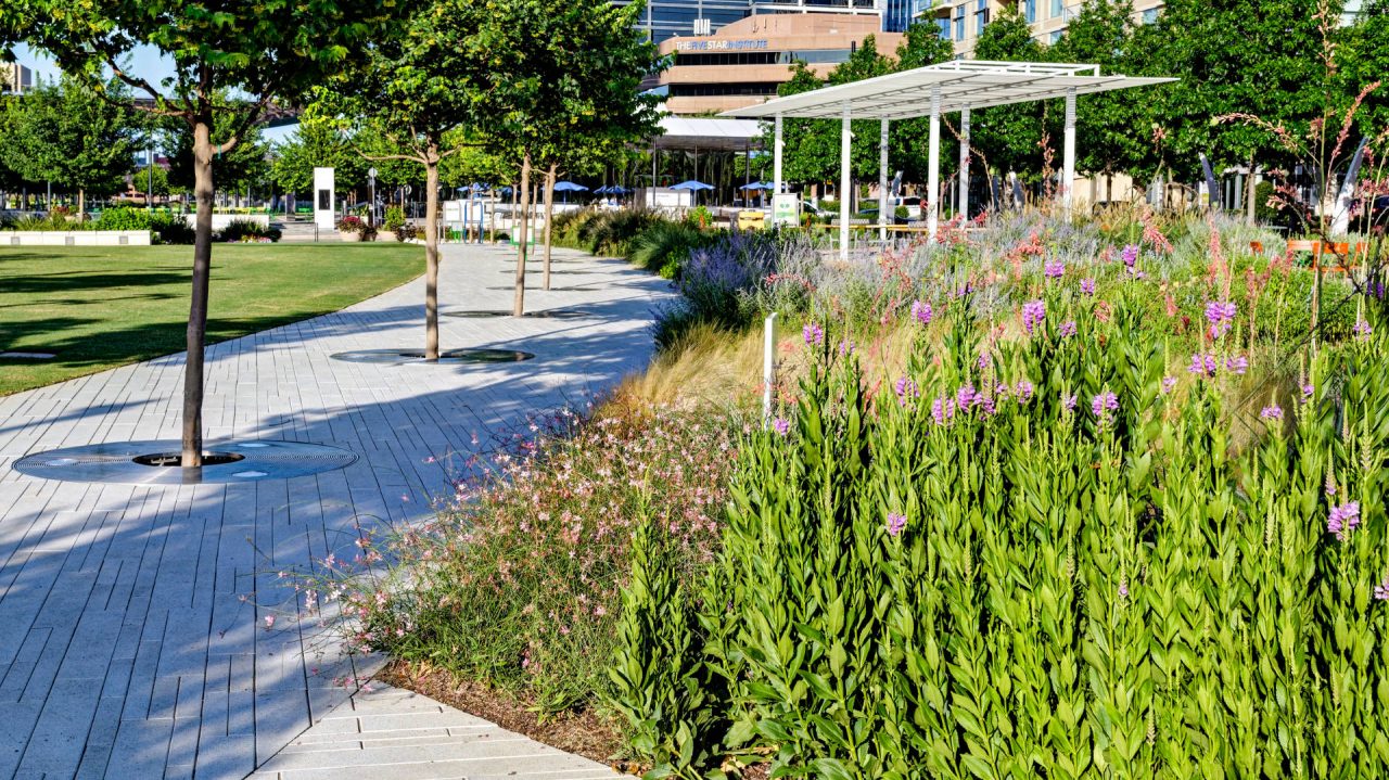 Commercial Landscaping Services in Dallas | Southern Botanical