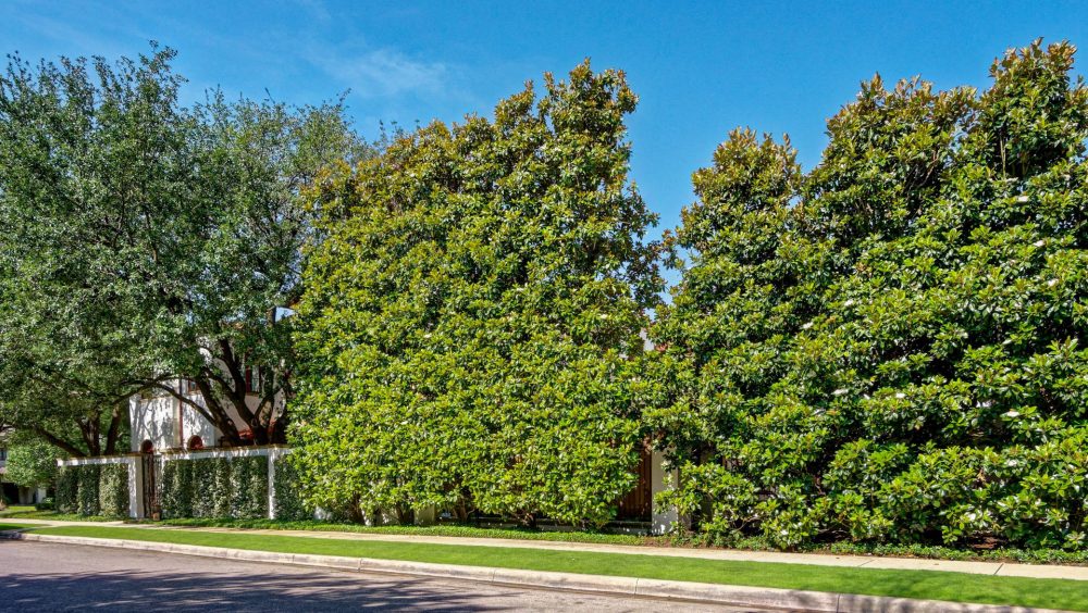 Highland Park Property Dallas Residential Landscaping Project