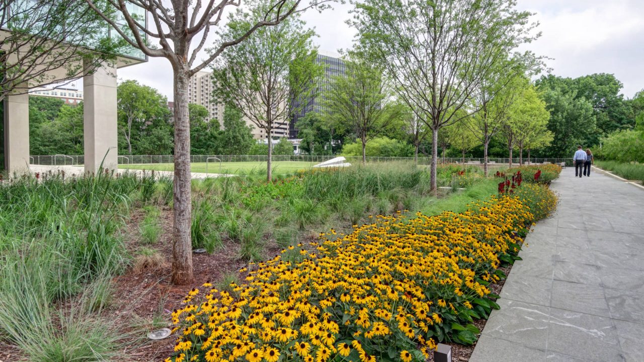 Turtle Creek Offices | Commercial Landscaper Dallas