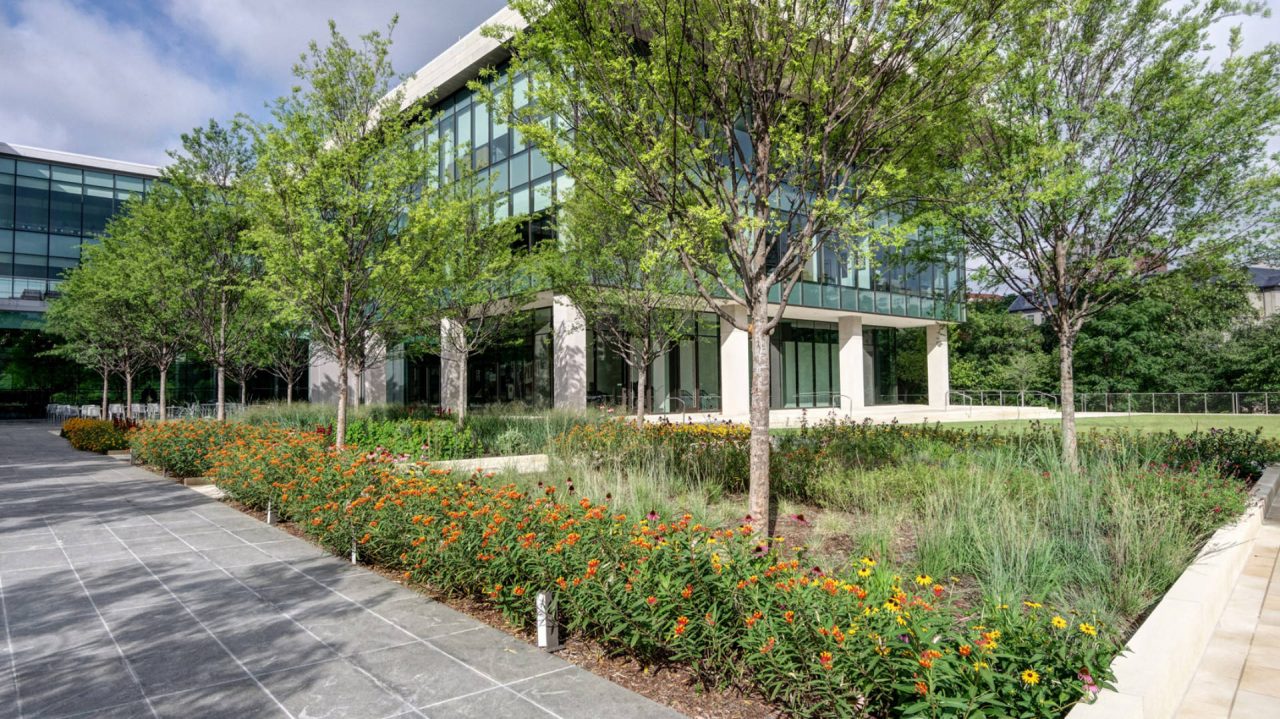 Turtle Creek Offices | Dallas Commercial Landscaping Services Company