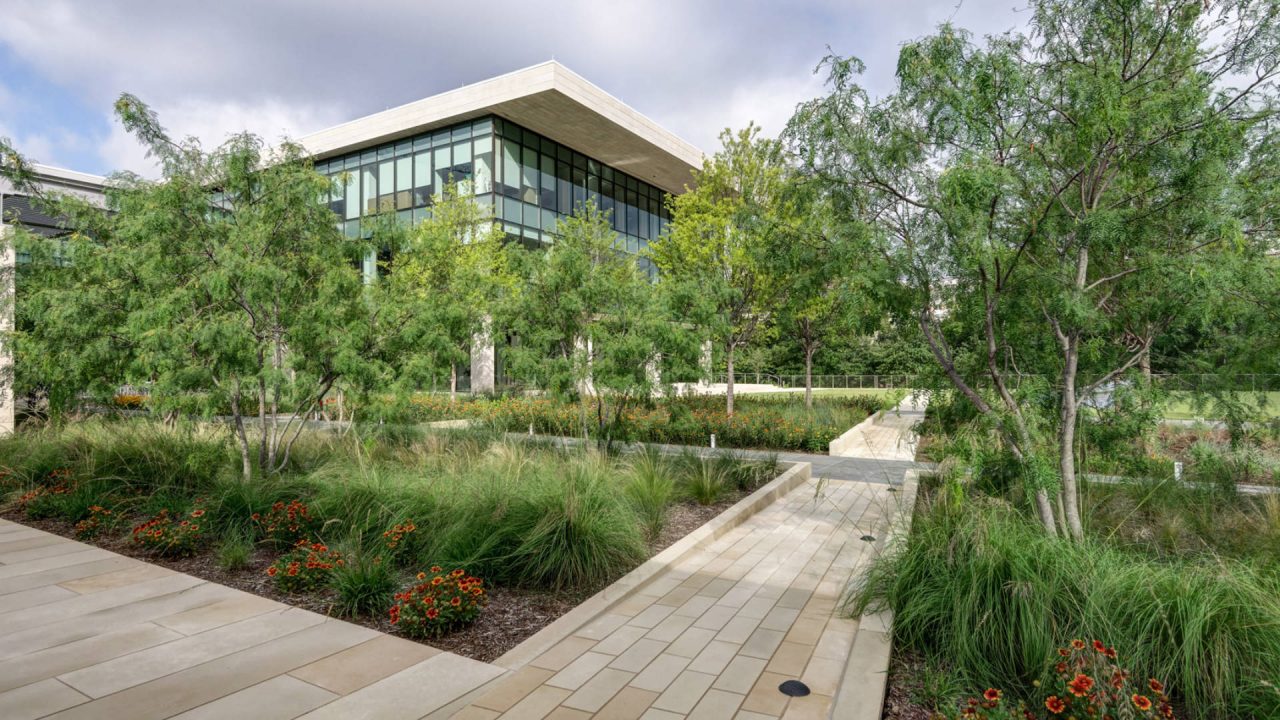 Turtle Creek Offices | Dallas Commercial Landscaper