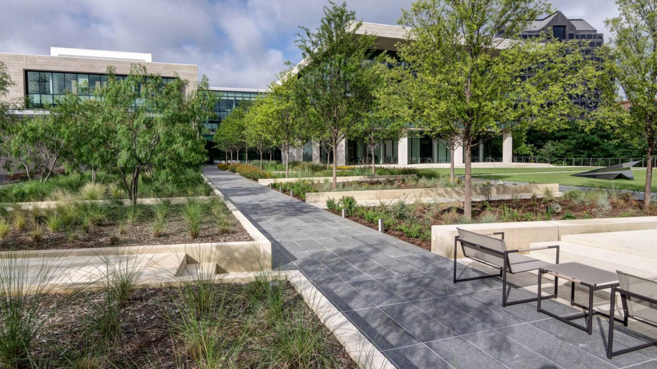 Turtle Creek Offices | Commercial Landscape Company in Dallas, TX