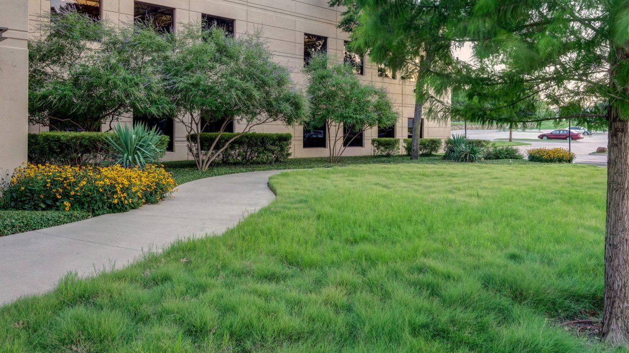 Tyler Technologies Commercial Landscaping by Southern Botanical | Dallas Commercial Landscaping Services Company