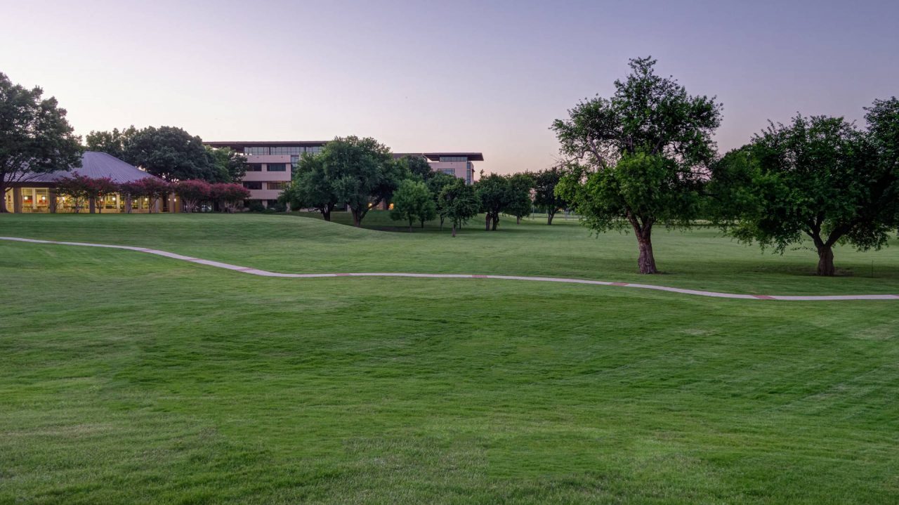 Landscaping of Tyler Technologies by Southern Botanical | Dallas Landscaping Services