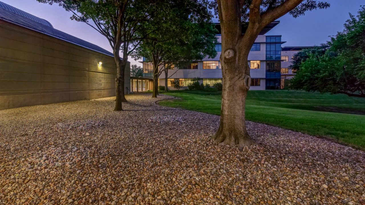Tyler Technologies Landscape by Southern Botanical | Dallas Landscaping Services Company