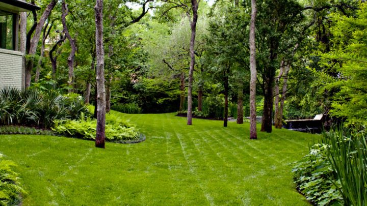 Landscape Maintenance Experts in Dallas, TX and surrounding areas