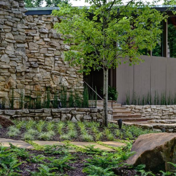 East Dallas Property | Residential Landscape Company in Dallas, TX