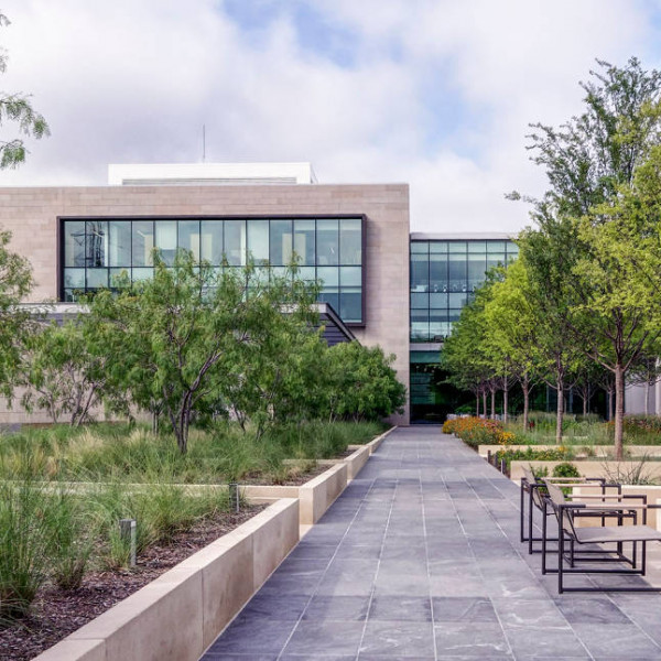 Turtle Creek Office | Dallas Commercial Landscaping Services