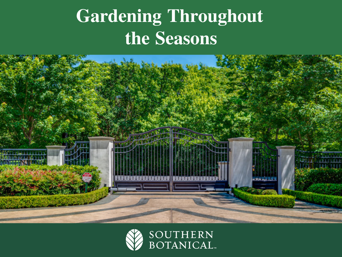 Gradening Throughout the Seasons | Dallas Landscaping | Southern Botanical