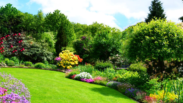 The Benefits of Getting Professional Landscape Maintenance Services | Landscape Maintenance Company in Highland Park, Texas