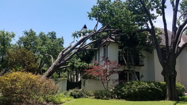 Dallas Professional Storm Cleanup Services
