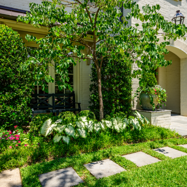 Dallas landscaping company Southern Botanical transforms the landscape of a University Park Property