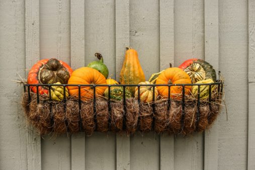 Tips for Decorating Your Outdoors this Fall | Southern Botanical - your landscape contractors in Dallas, TX