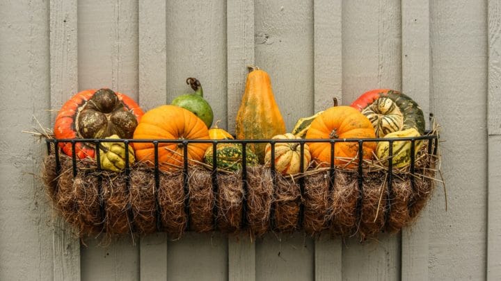 Tips for Decorating Your Outdoors this Fall | Southern Botanical - your landscape contractors in Dallas, TX