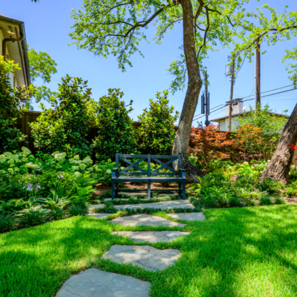Dallas landscaping company Southern Botanical transforms the landscape of a University Park Property