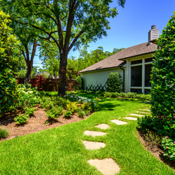 Dallas landscaping company Southern Botanical transforms the landscape of a University Park Property