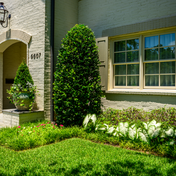 Dallas landscaping company Southern Botanical transforms the landscape of a University Park Property