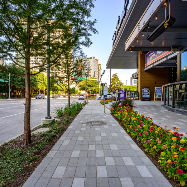The Union | Commercial landscape installation and maintenance by Southern Botanical