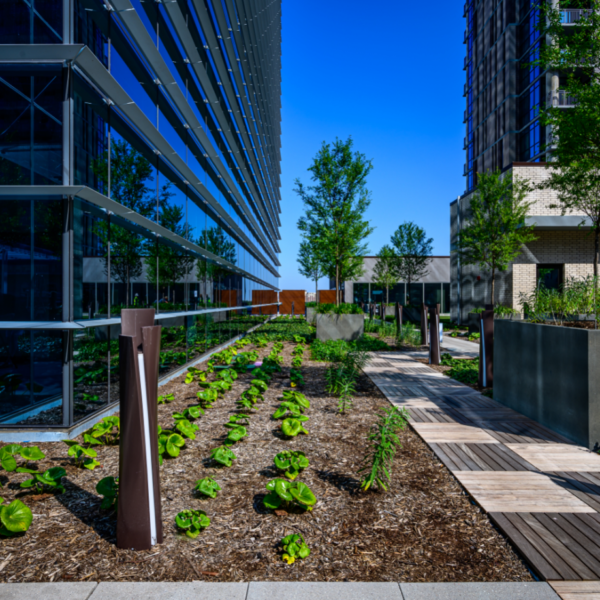 Dallas Landscaper, Southern Botanical, completes commercial landscape installation and maintenance for mixed use property in Uptown Dallas