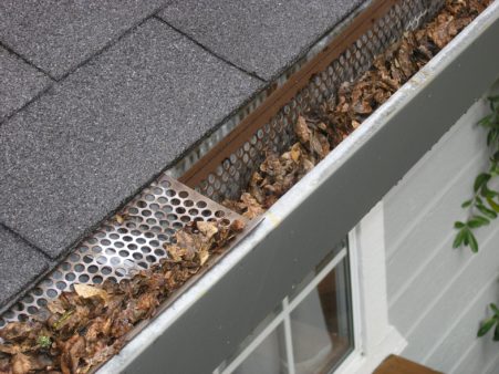 Gutter Cleaning Tips | Landscaping Company in Dallas, TX