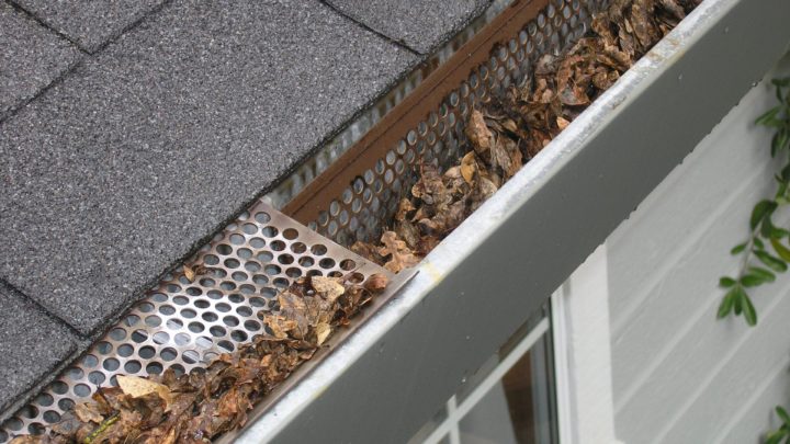 Gutter Cleaning Tips | Landscaping Company in Dallas, TX