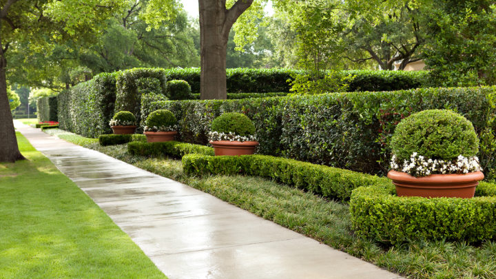 Career Spotlight: Landscape Maintenance Crew Leader | Dallas Landscaping Maintenance | Southern Botanical