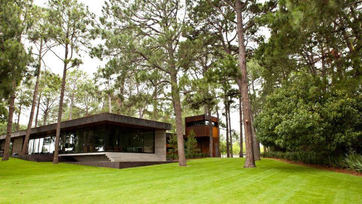 share new deep root fertilization program for your trees